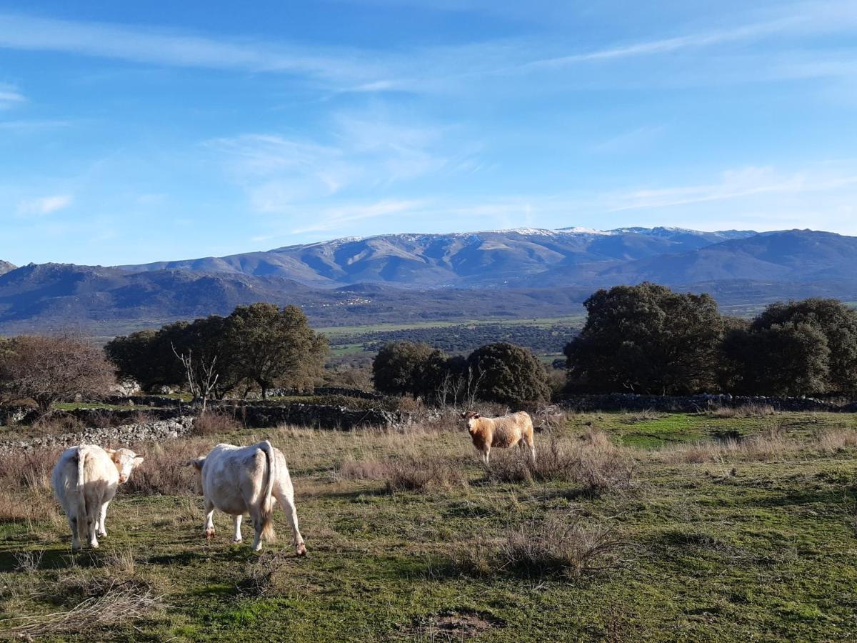 Casa Rural Mi Descanso Valdefuentes de Sangusín Екстериор снимка